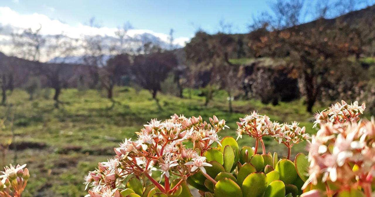 Cortijo Aguacha Villa Bayacas Dış mekan fotoğraf