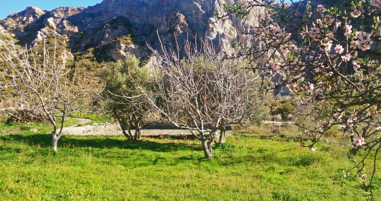 Cortijo Aguacha Villa Bayacas Dış mekan fotoğraf