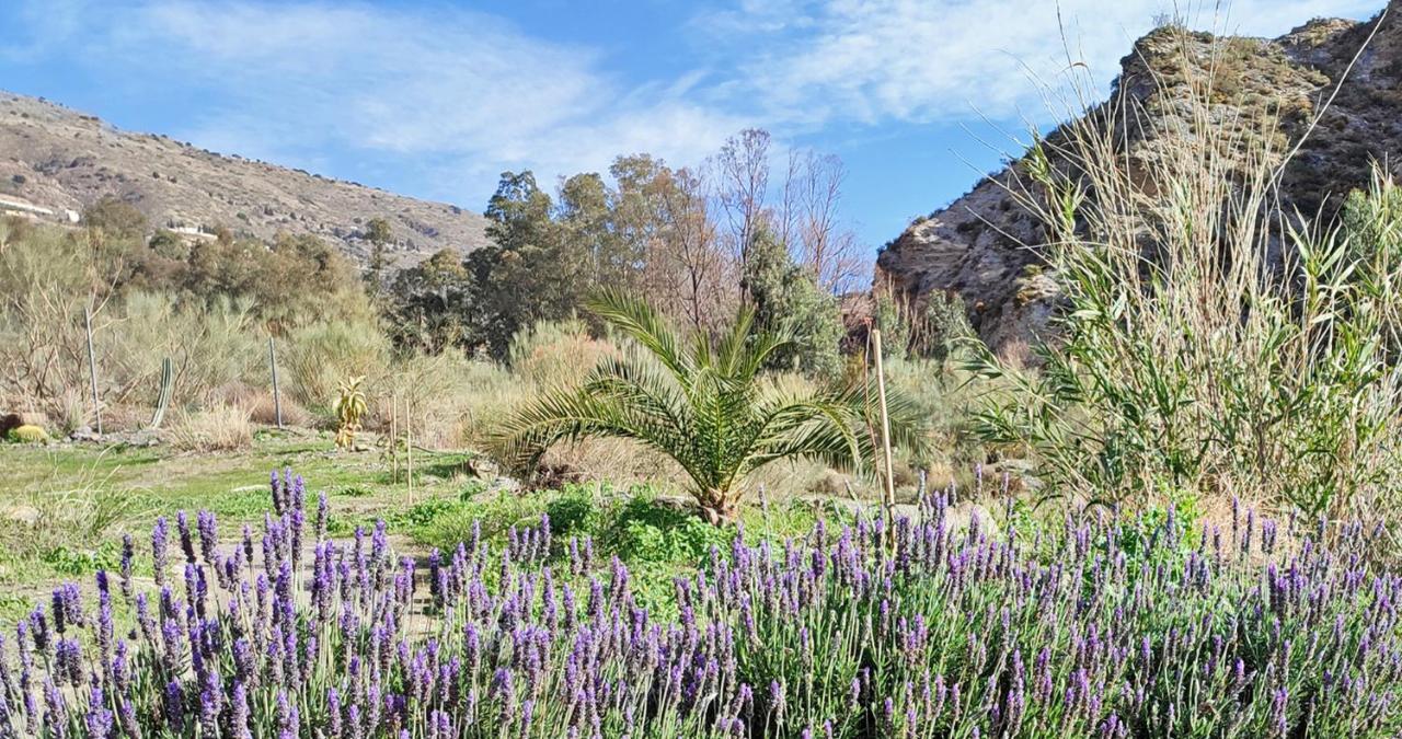 Cortijo Aguacha Villa Bayacas Dış mekan fotoğraf