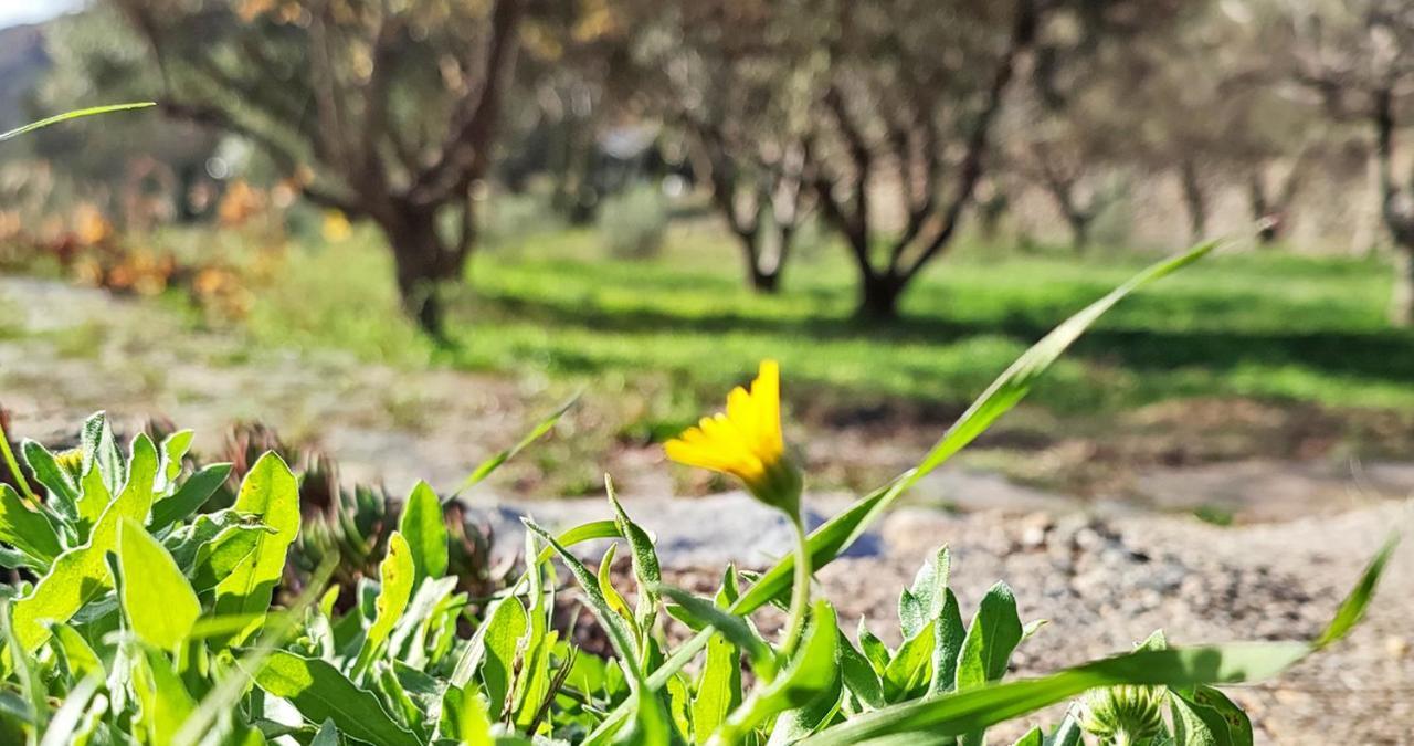 Cortijo Aguacha Villa Bayacas Dış mekan fotoğraf