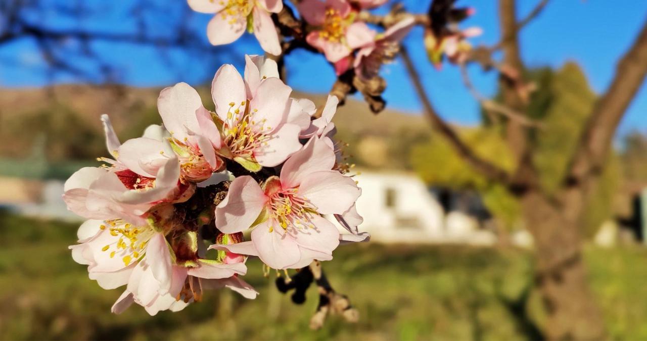 Cortijo Aguacha Villa Bayacas Dış mekan fotoğraf