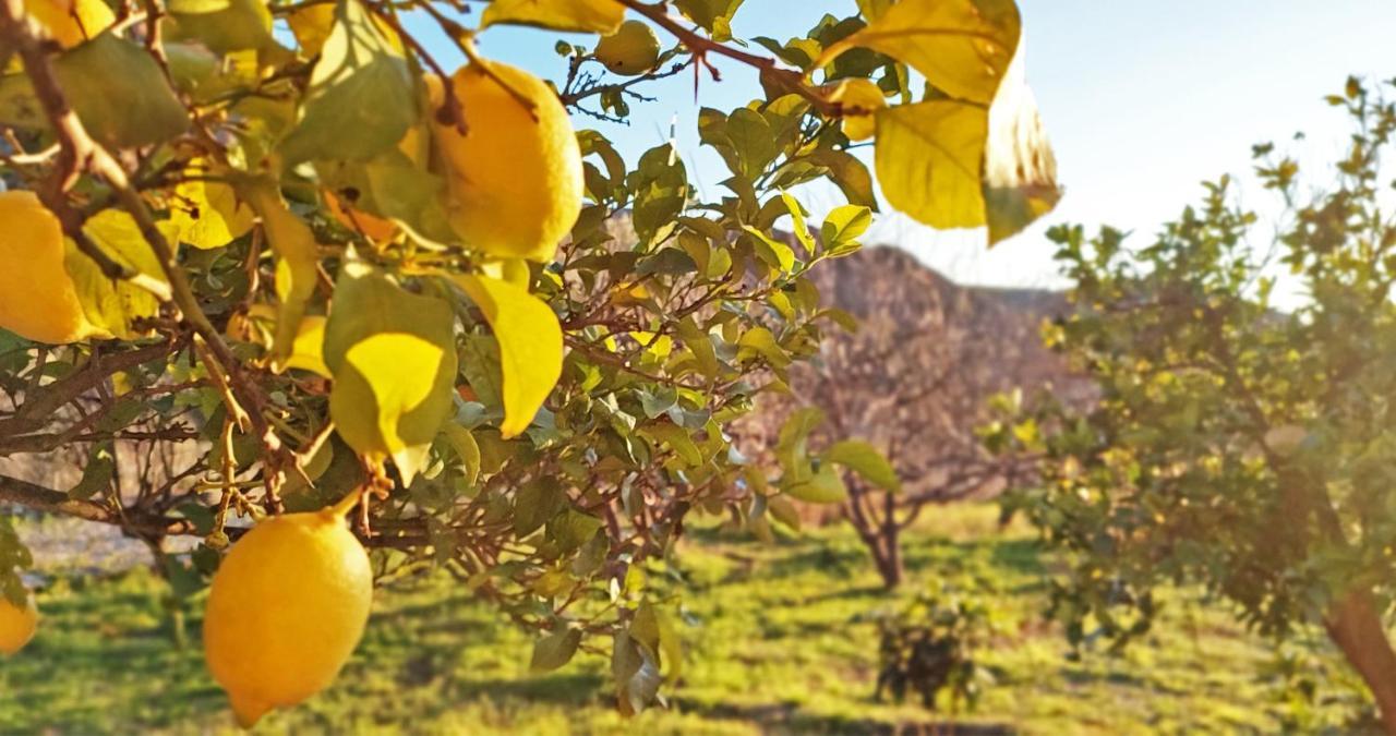 Cortijo Aguacha Villa Bayacas Dış mekan fotoğraf