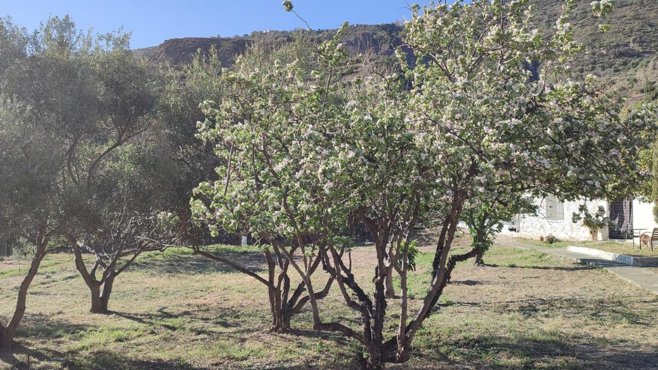 Cortijo Aguacha Villa Bayacas Dış mekan fotoğraf