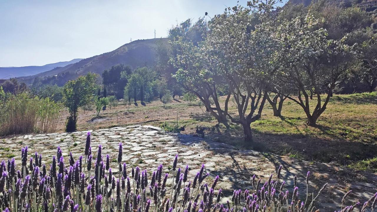 Cortijo Aguacha Villa Bayacas Dış mekan fotoğraf